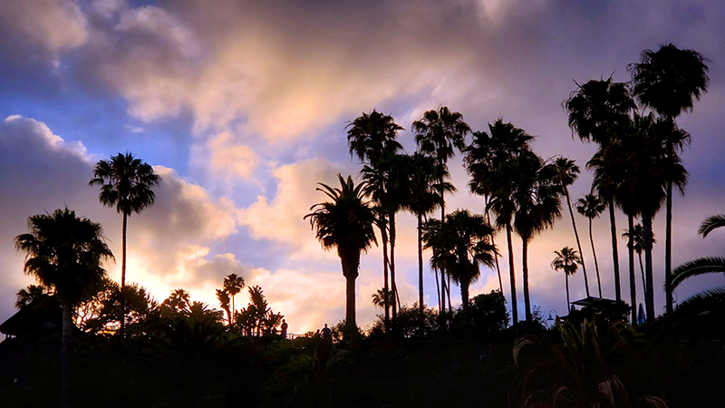 Sign Up For A Free Training Session